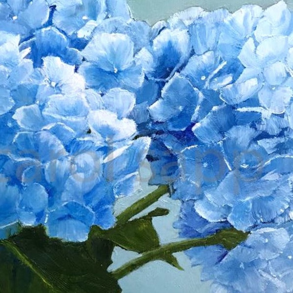 Meet your Posher, Miriam